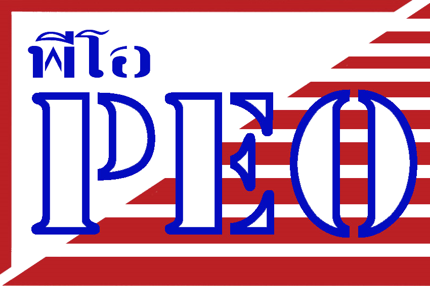 PEO — Process Efficiency Optimization